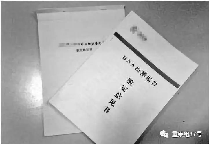 落户亲子鉴定